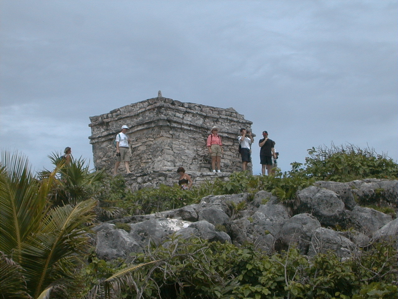 mx047.jpg