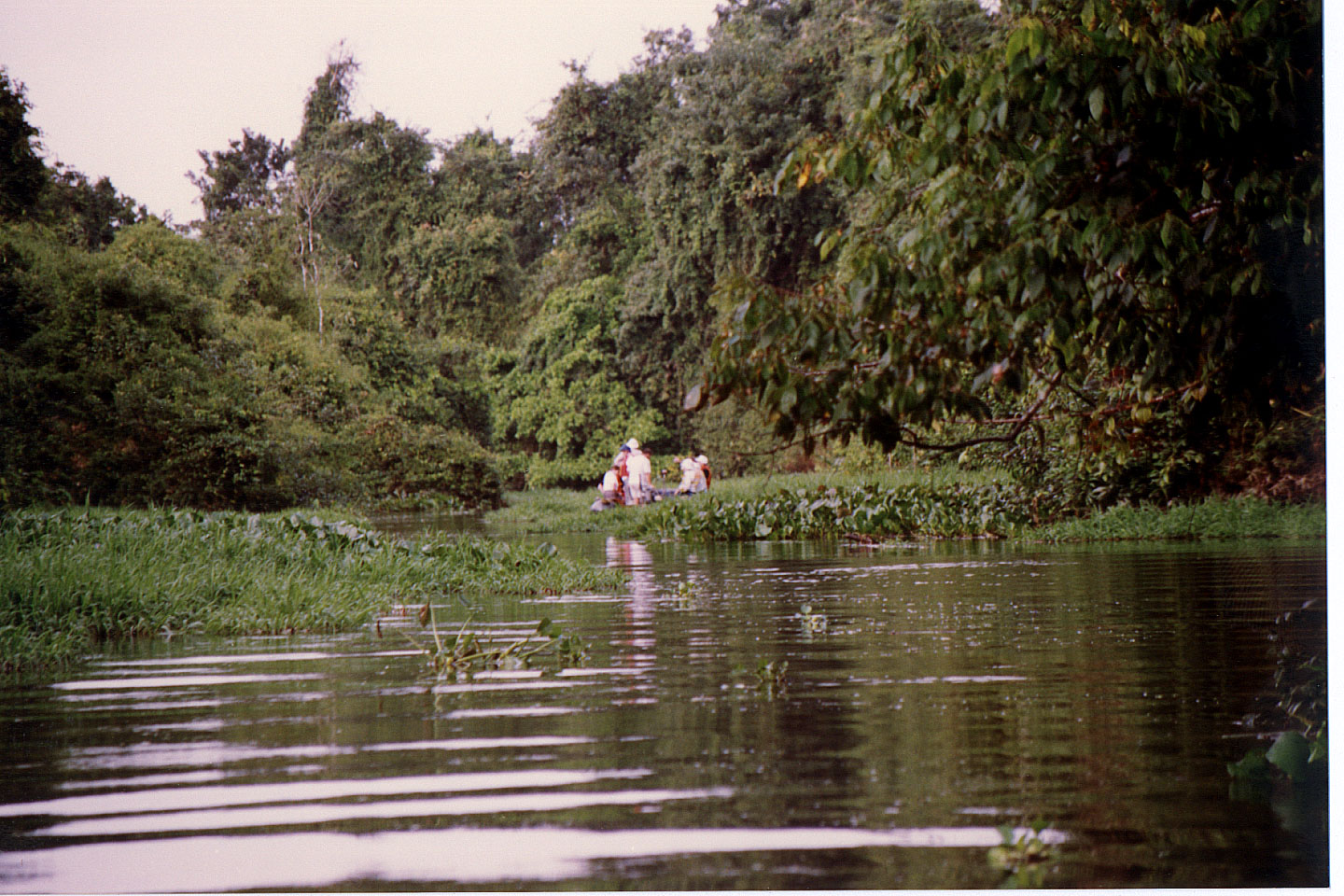110.jpg, Exploring backwaters