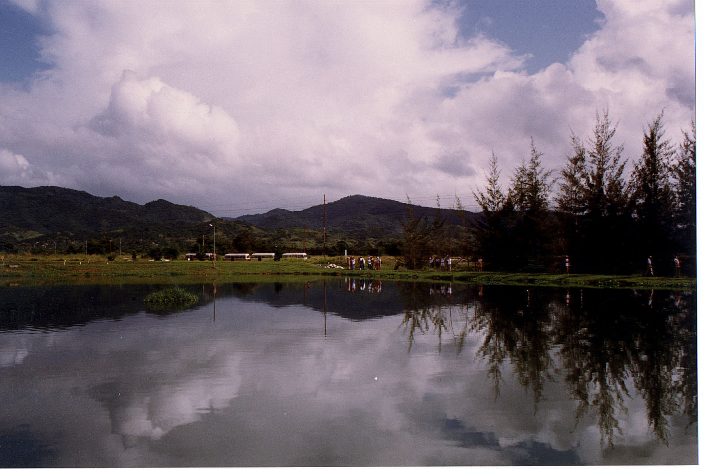 146.jpg, Birding stop at
sewage plant!
Trinidad