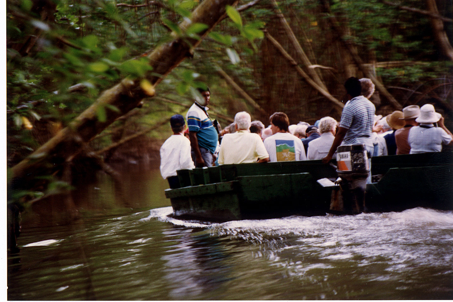 151.jpg, Canoni Swamp trip
Trinidad