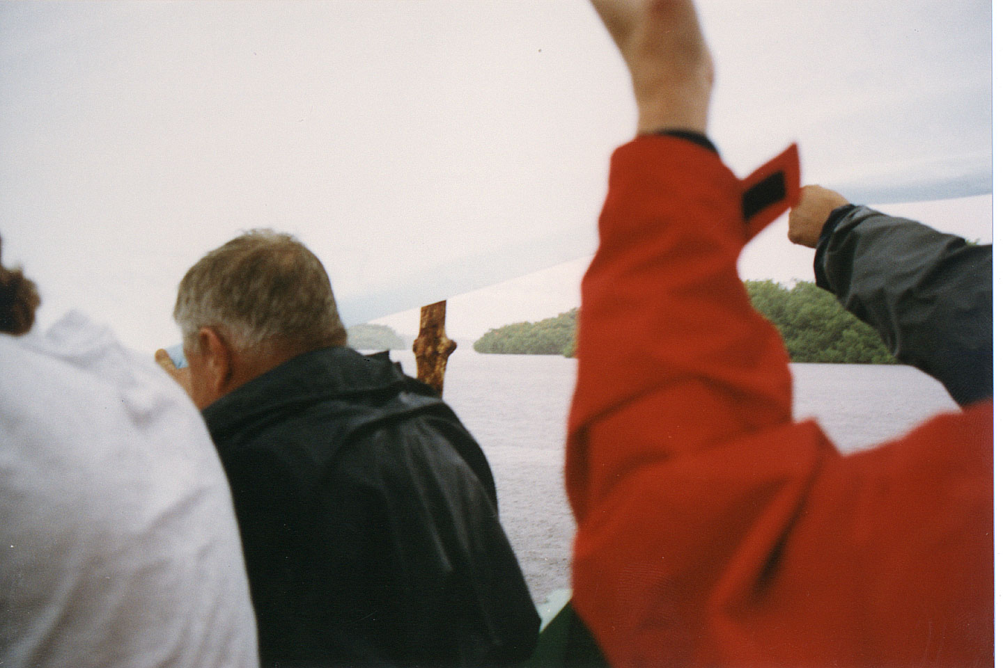 164.jpg, Then it rained...