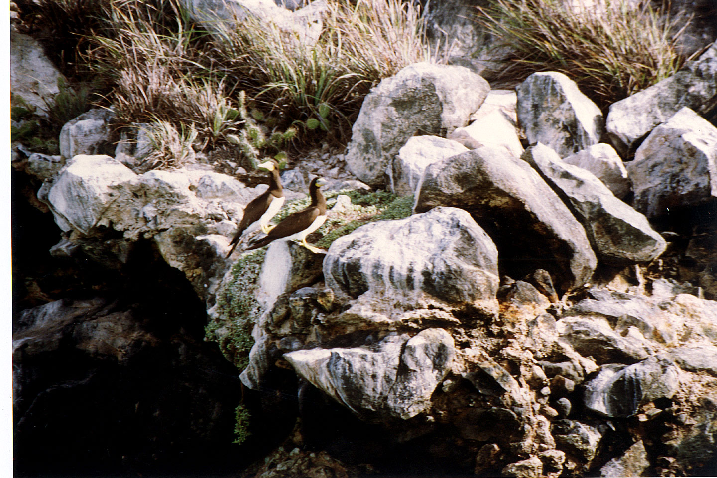 176.jpg, Gran Roque