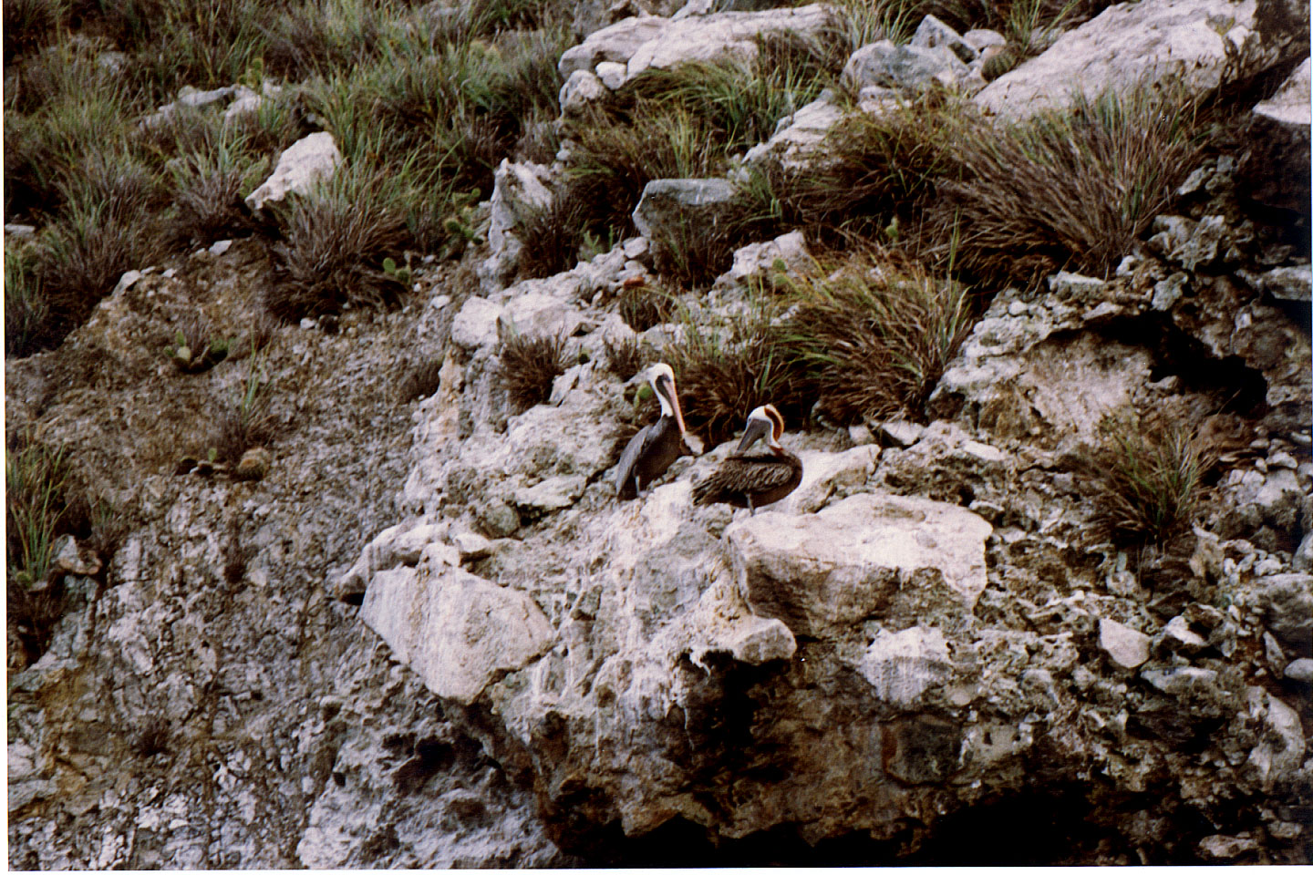 179.jpg, Gran Roque