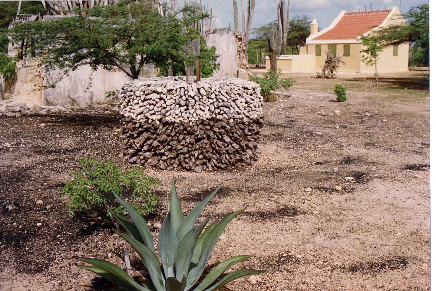 217.jpg, Bonaire