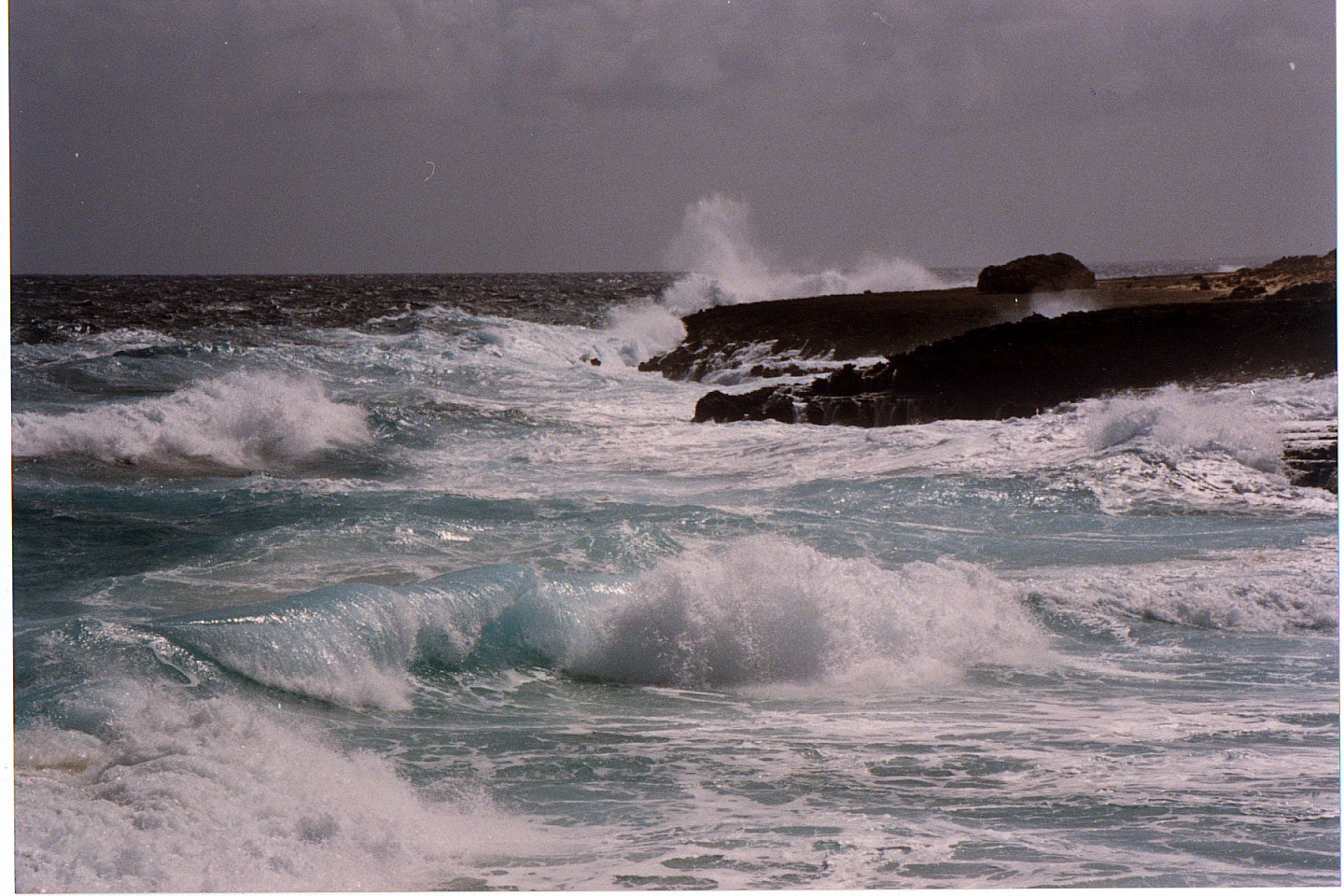 220.jpg, Bonaire
