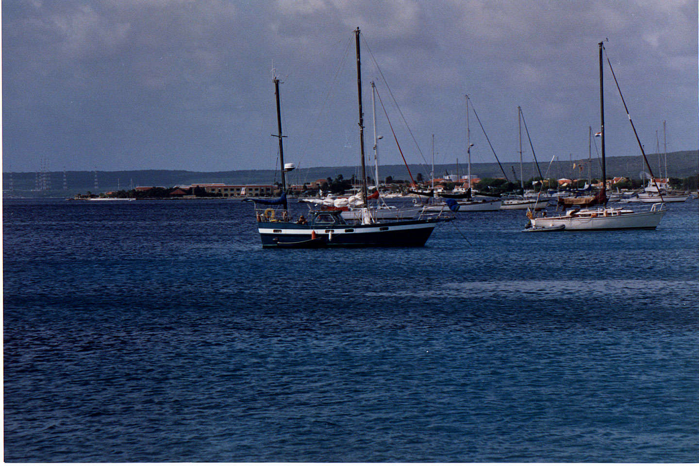 231.jpg, Bonaire