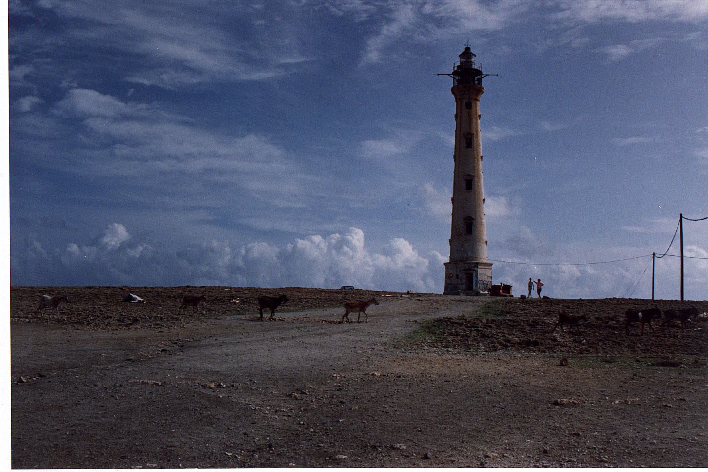 276.jpg, Aruba lighthouse