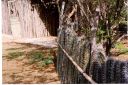 _216.jpg, Cactus fence
Bonaire