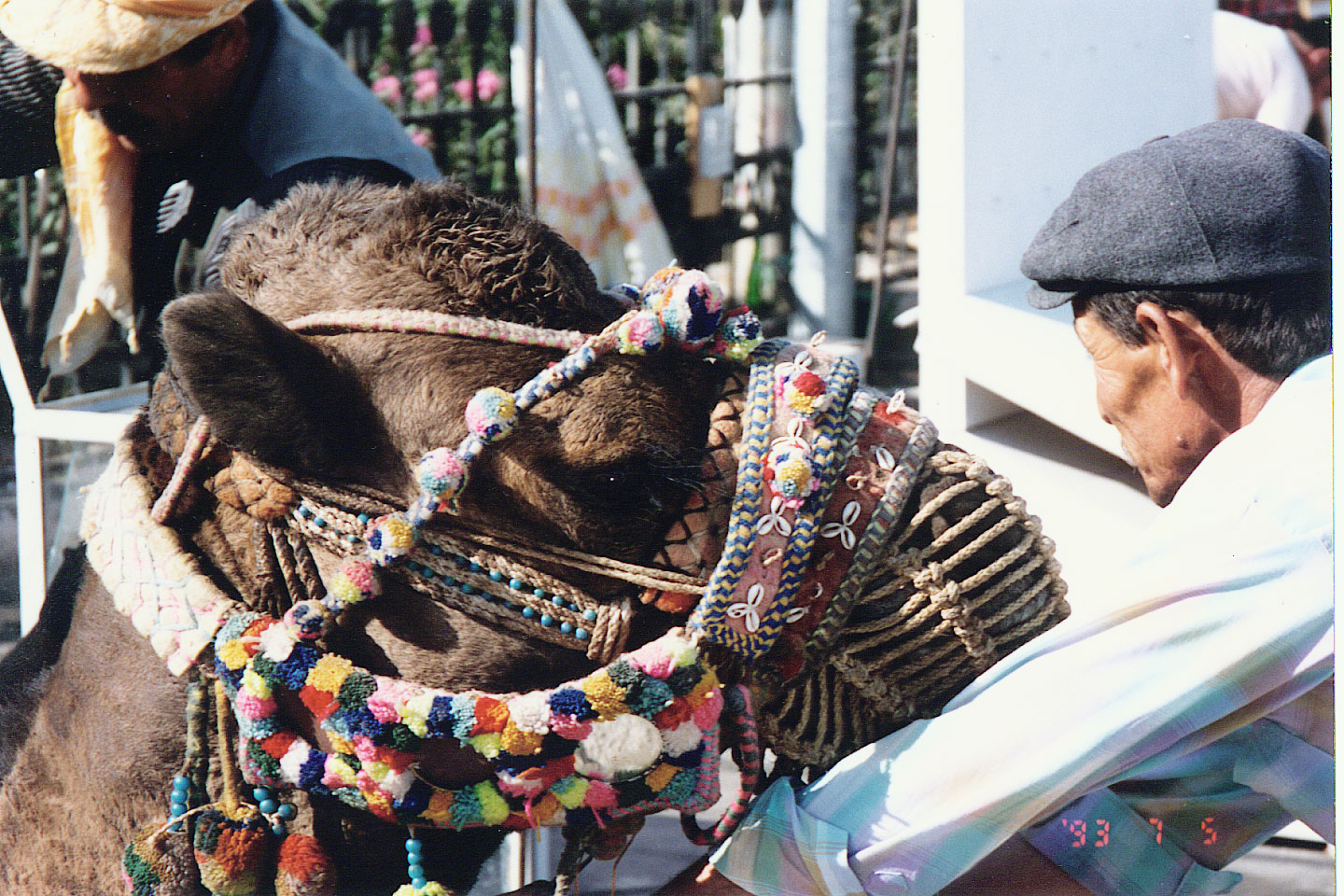 091.jpg, Bodrum
Turkey