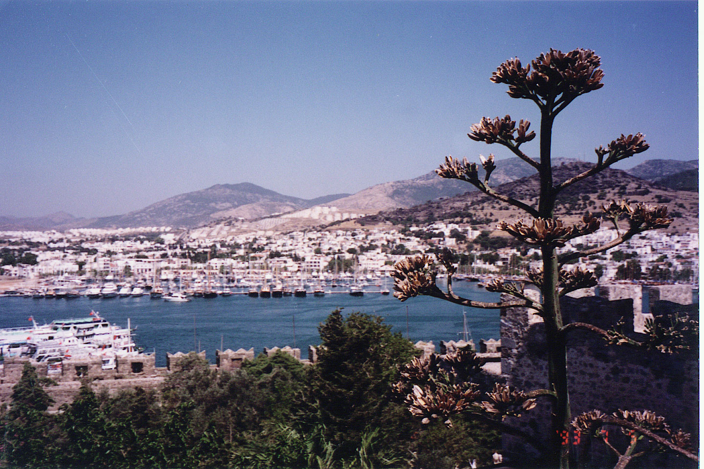 103.jpg, Bodrum
Turkey