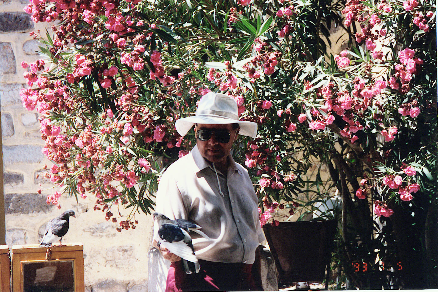 104.jpg, Bodrum
Turkey
