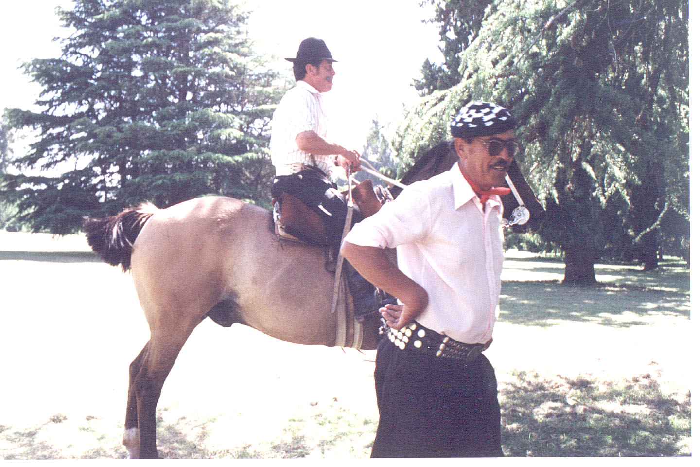019.jpg, Gauchos