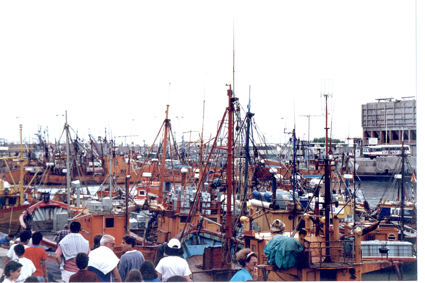 028.jpg, Fishing boats
Mar del Plata