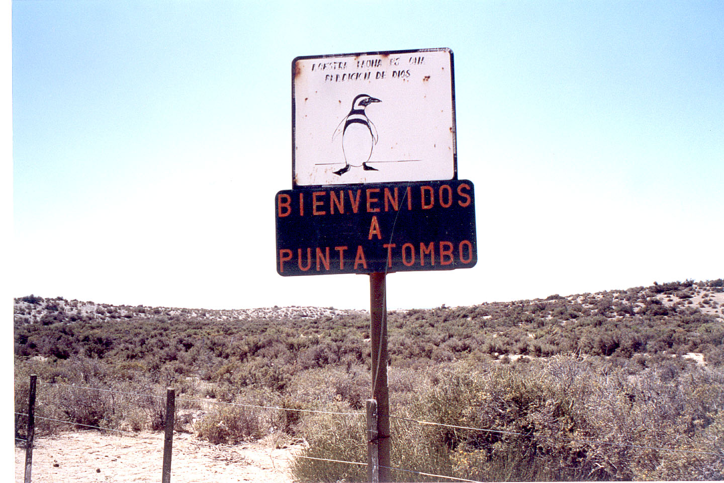 037.jpg, Punta Tombo