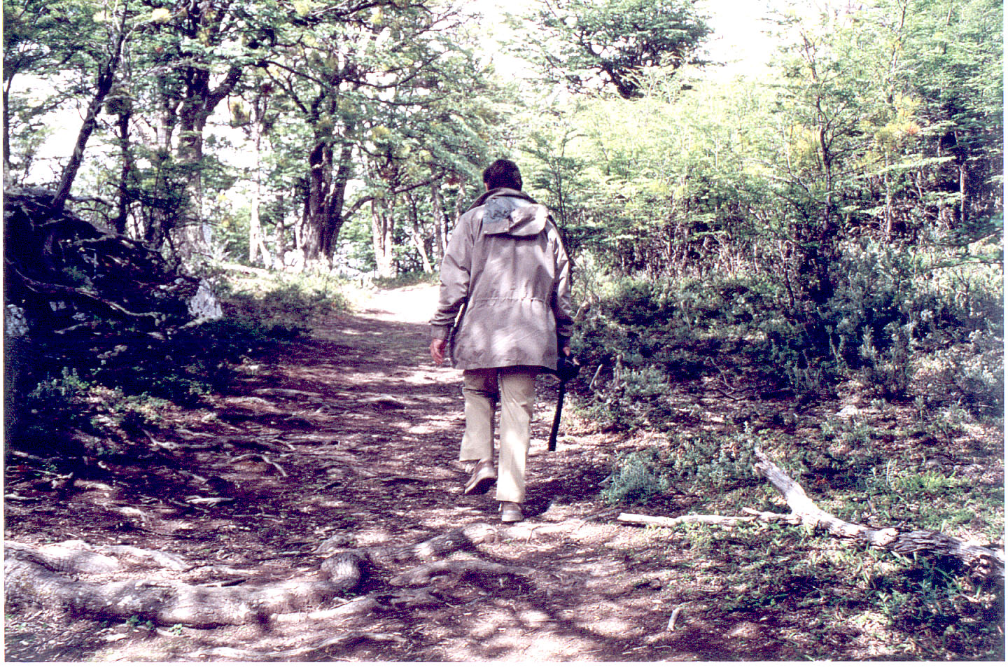 080.jpg, Tierra del Fuego
National Park