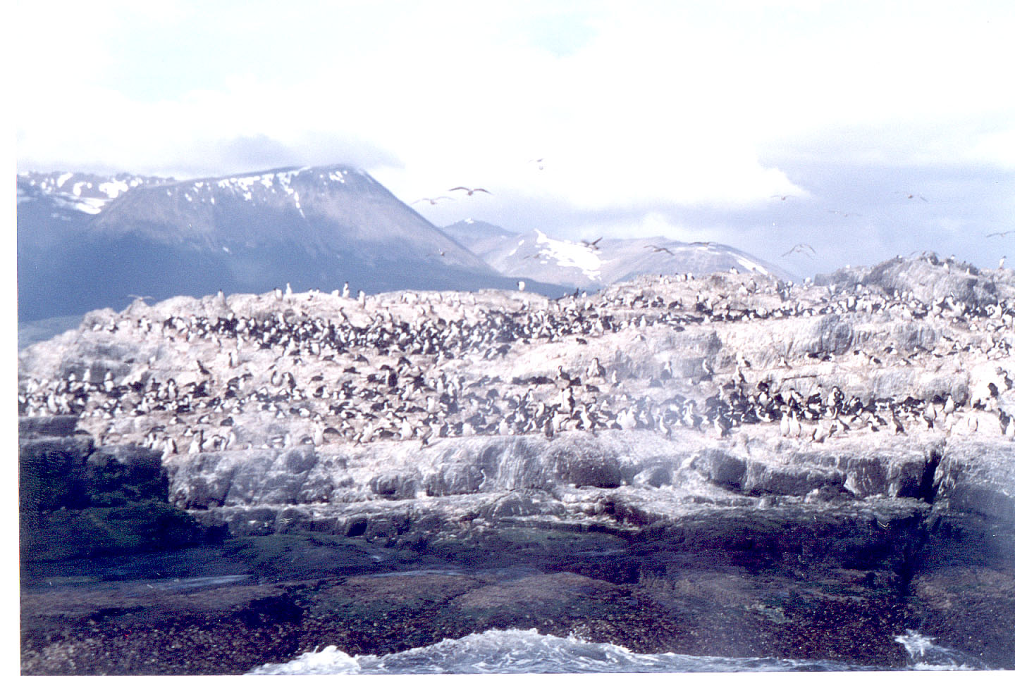 085.jpg, Catamaran Trip
Ushuaia