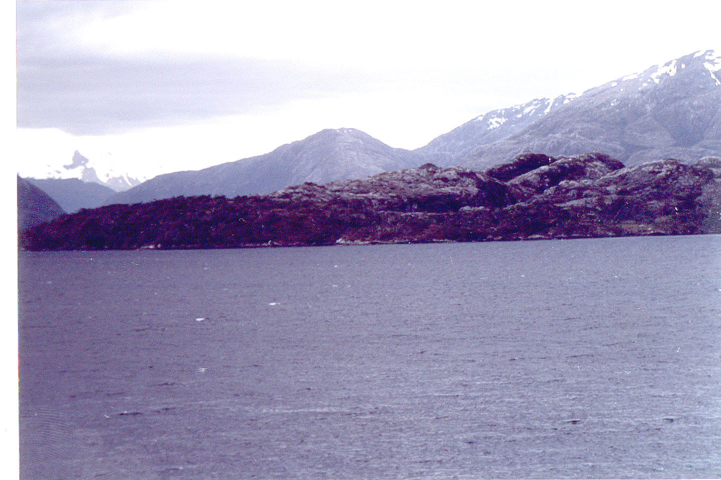 104.jpg