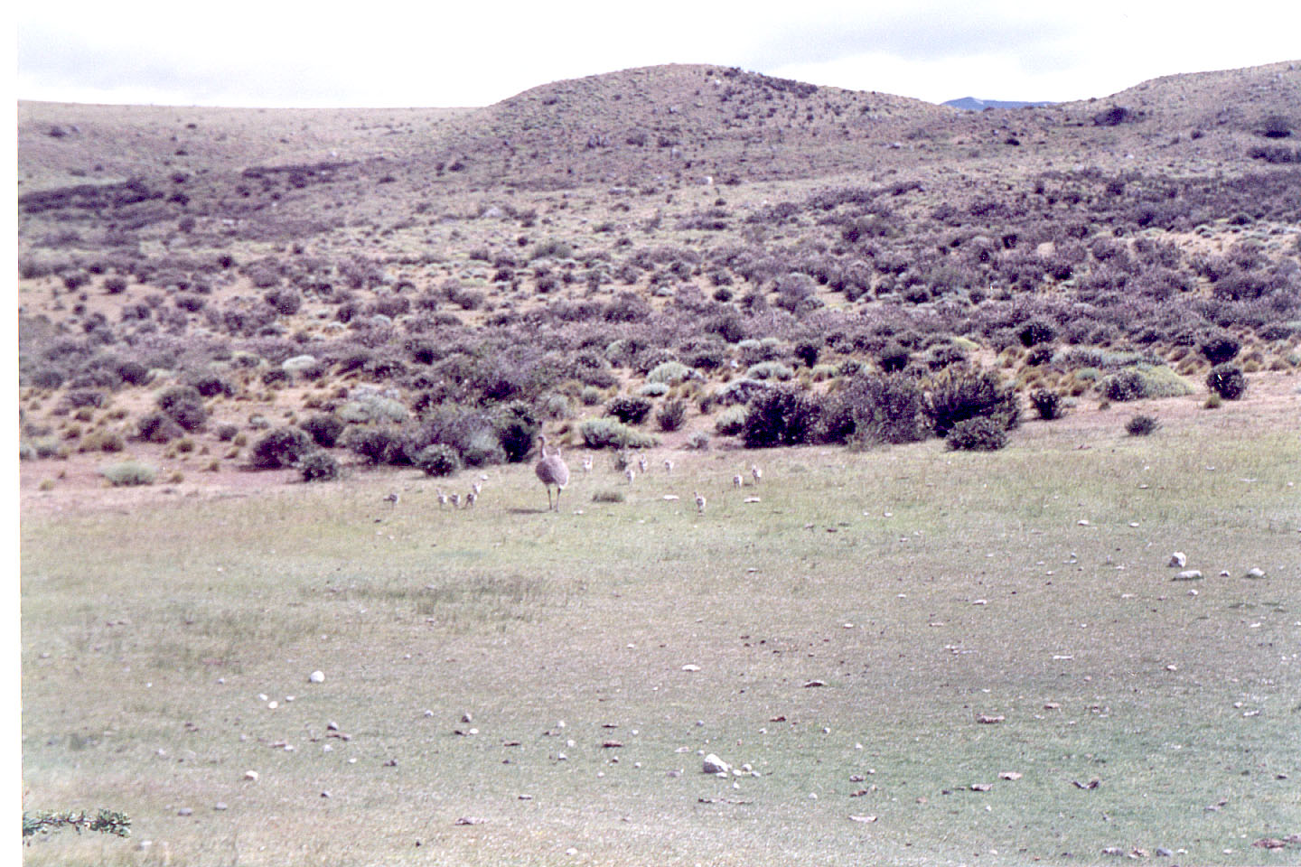 128.jpg