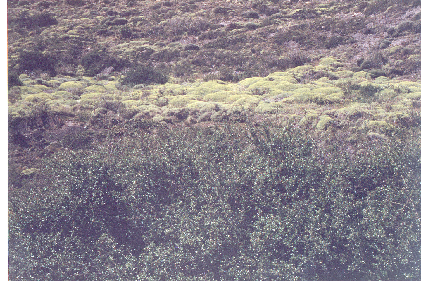144.jpg
