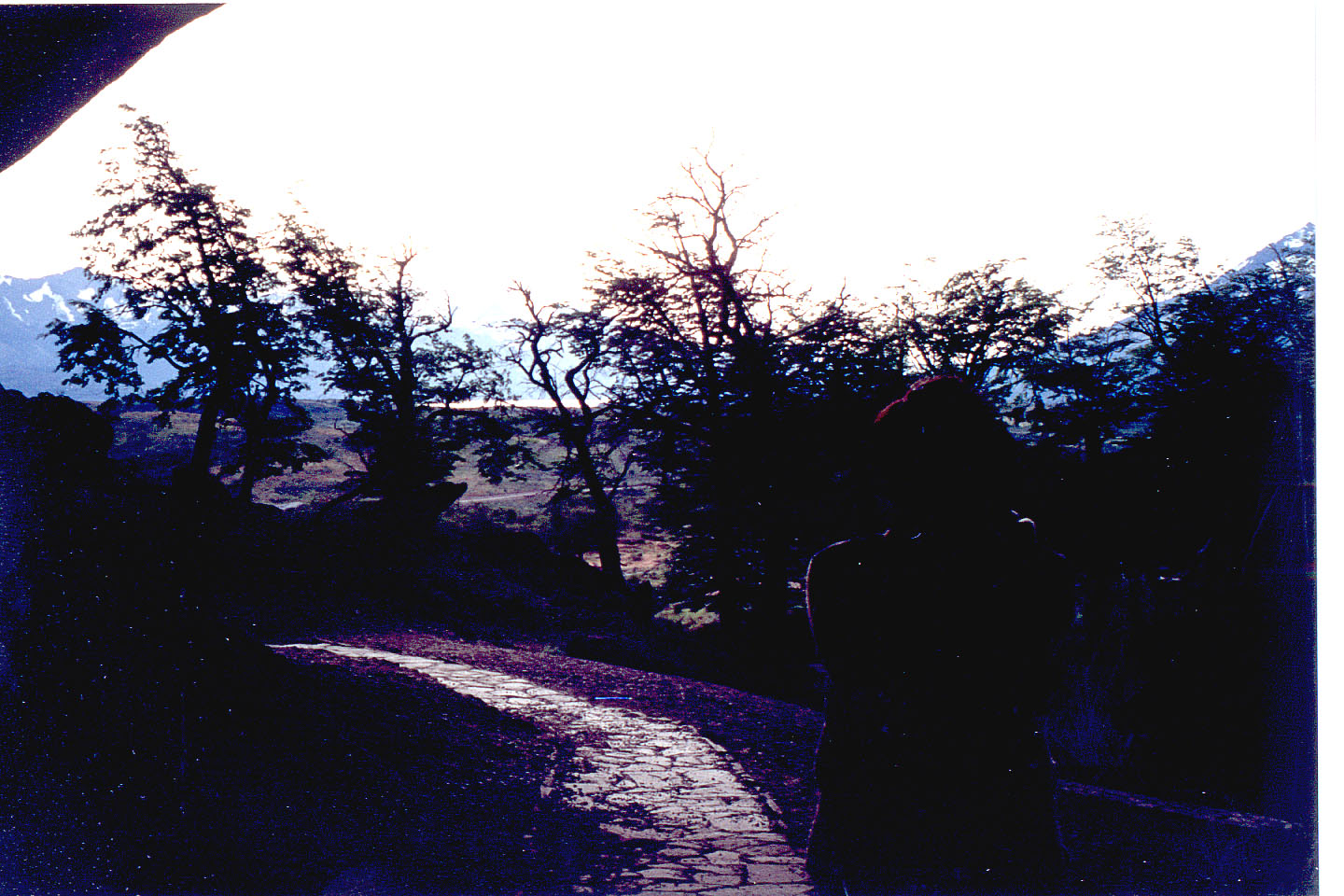 154.jpg