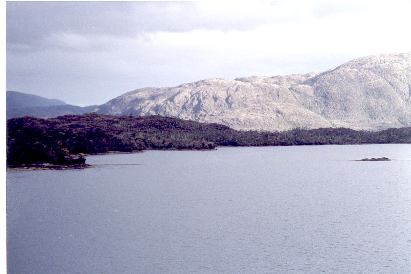 164.jpg