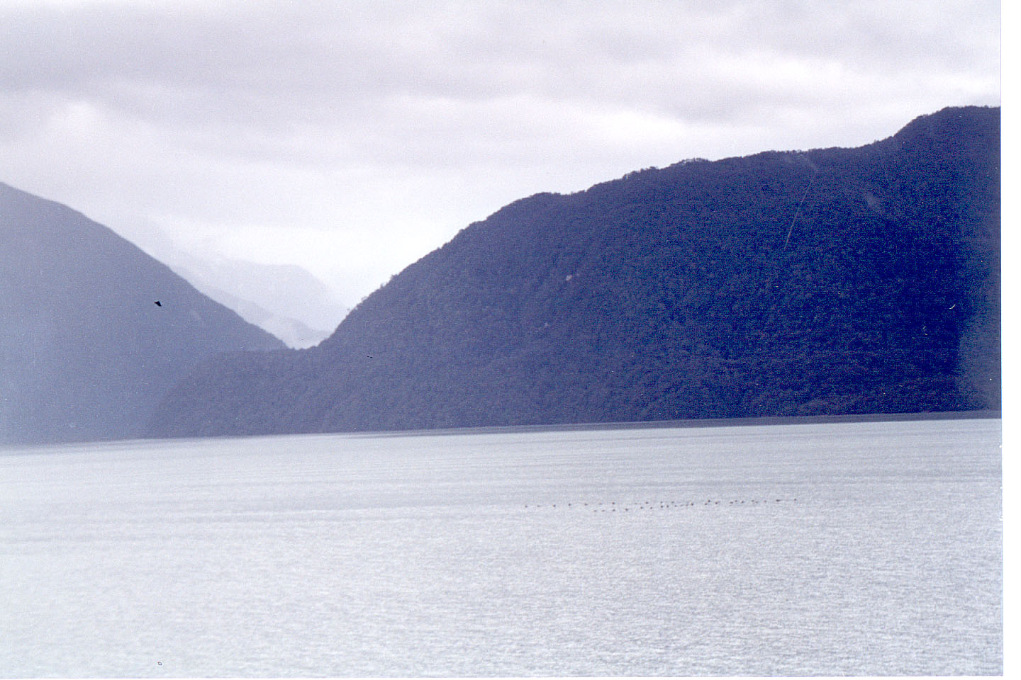 169.jpg, Chilean coast