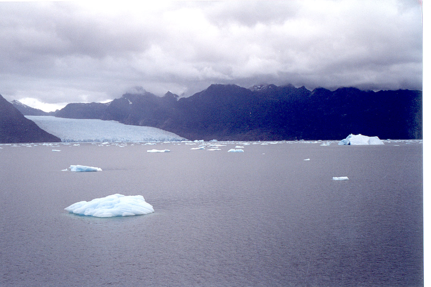 170.jpg, Laguna San Rafael
Chile