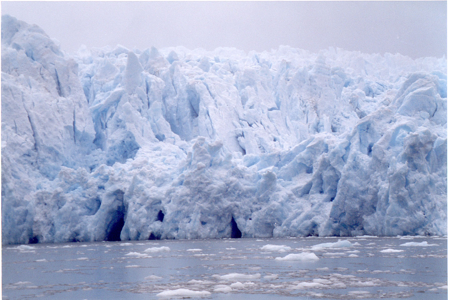 187.jpg, Laguna San Rafael
Chile