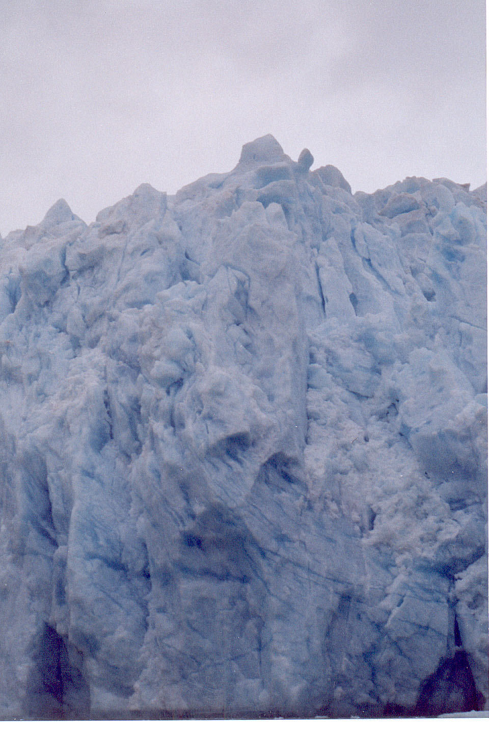 190.jpg