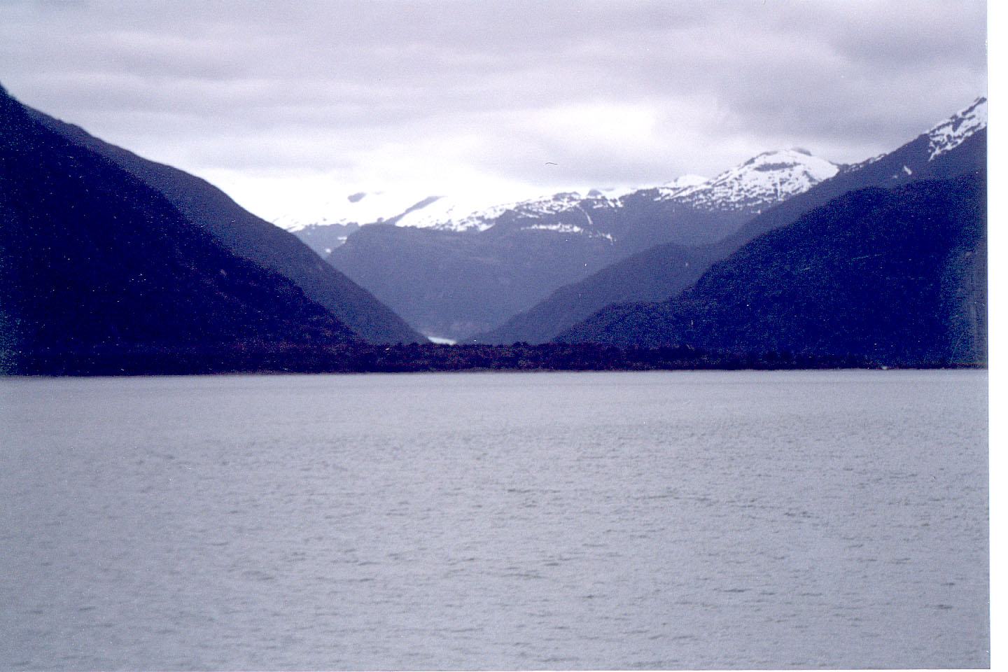 194.jpg