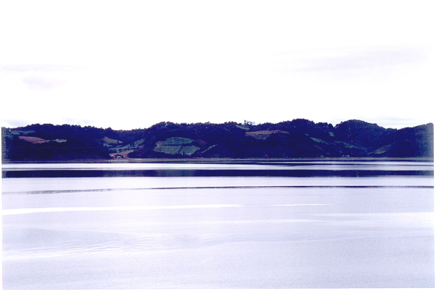 195.jpg
