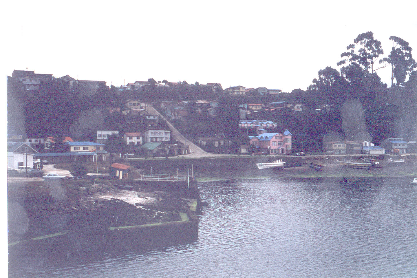 197.jpg