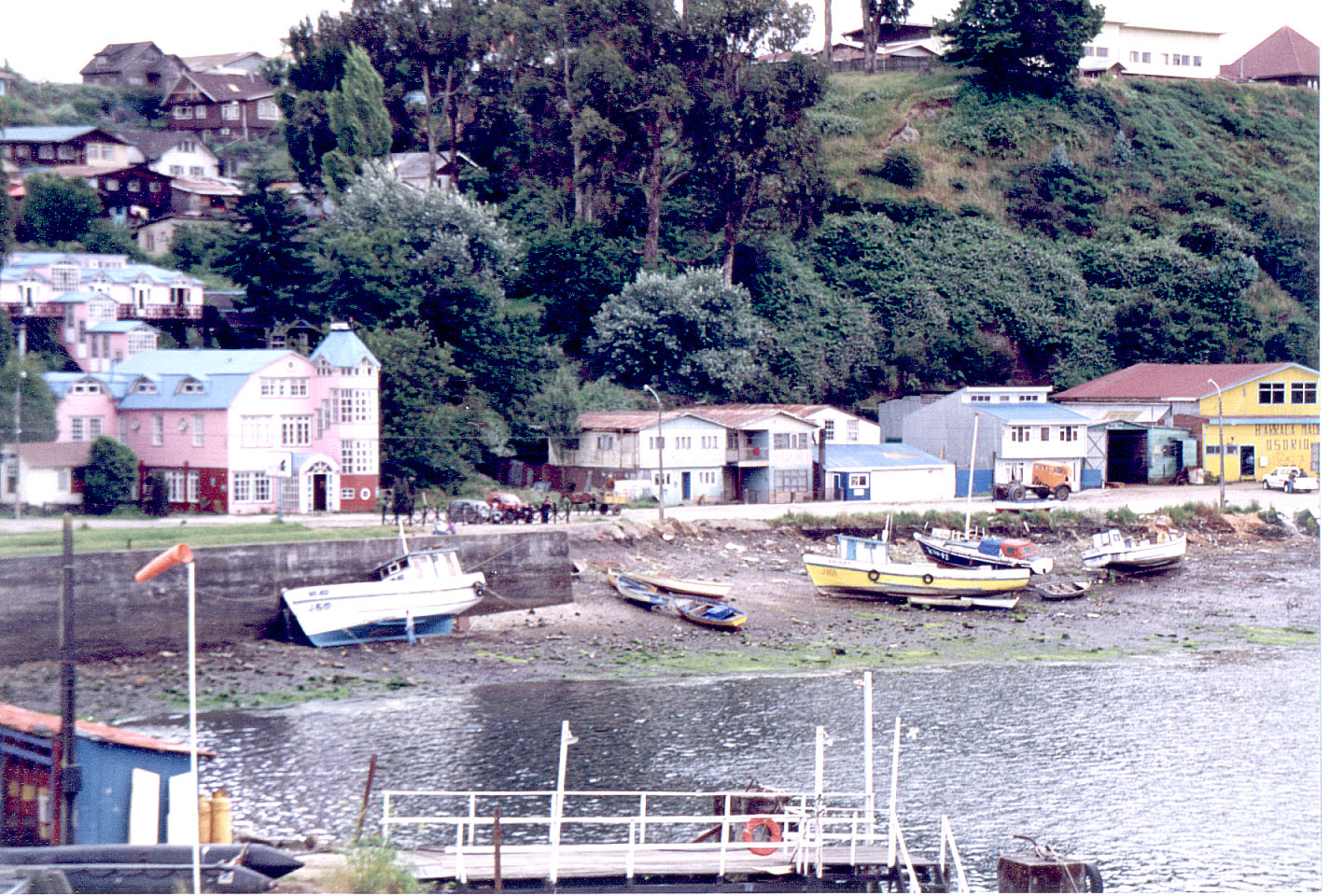 201.jpg