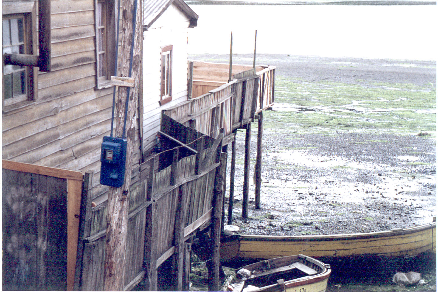 203.jpg