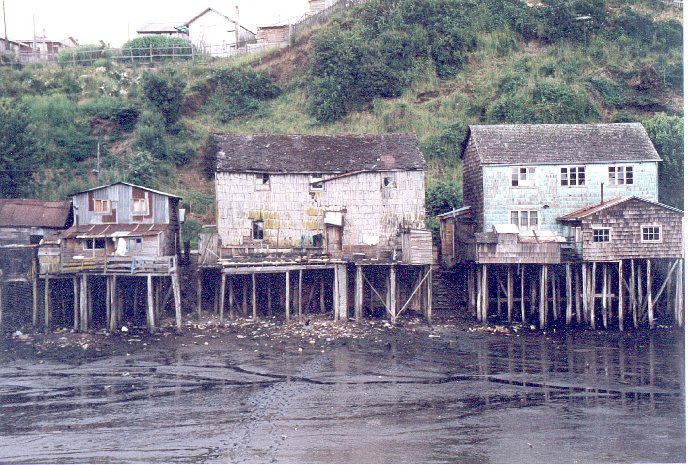 205.jpg, Castro, Chiloe Island
Chile
