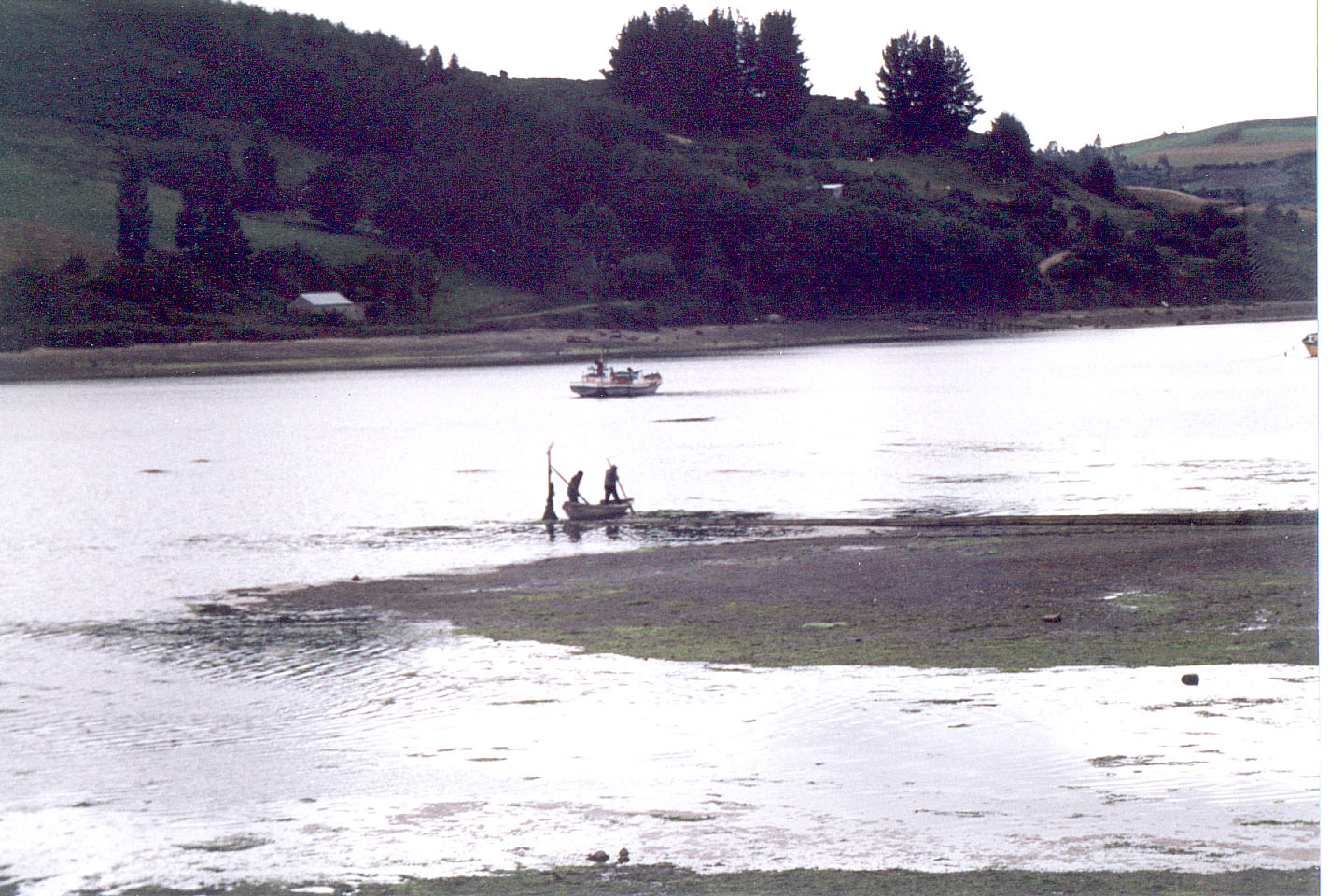206.jpg