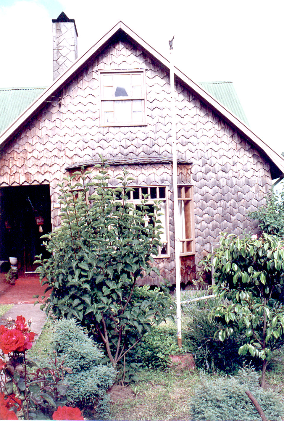 227.jpg