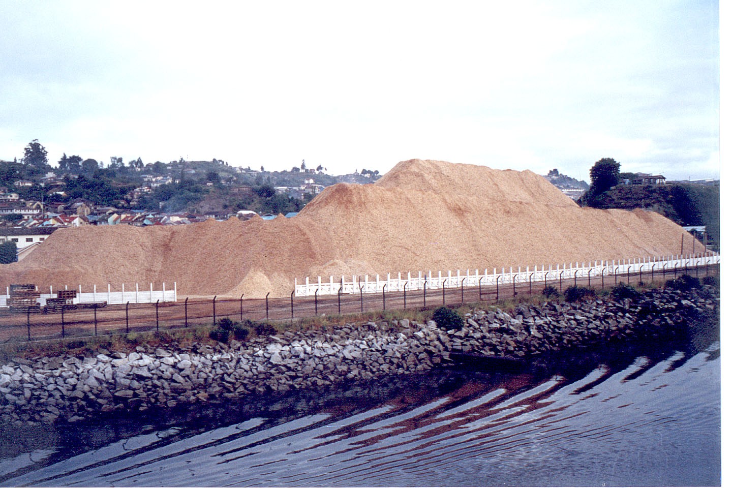 233.jpg, Wood chips
for Japan