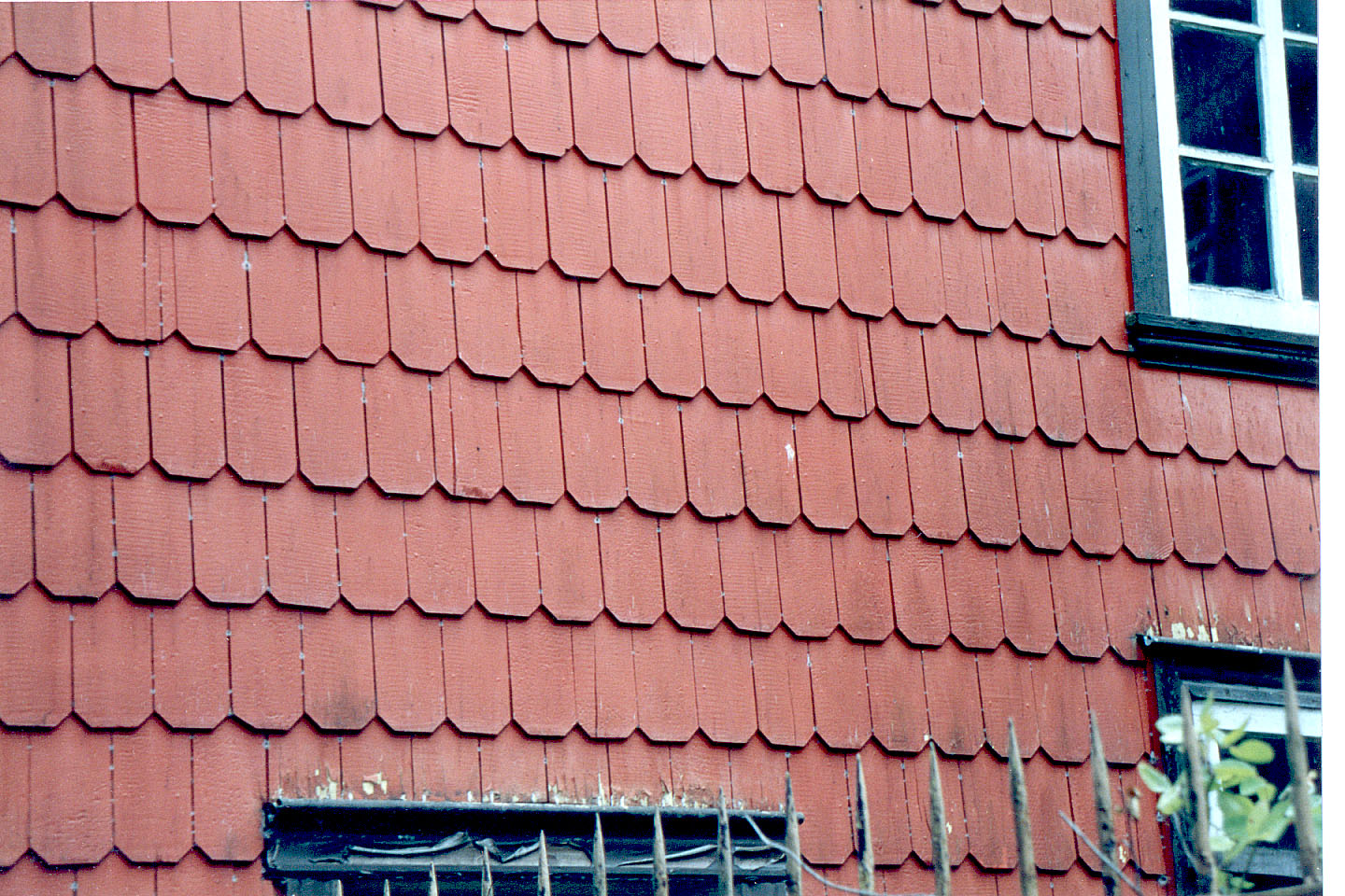 242.jpg, Pelluco, near
Puerto Montt