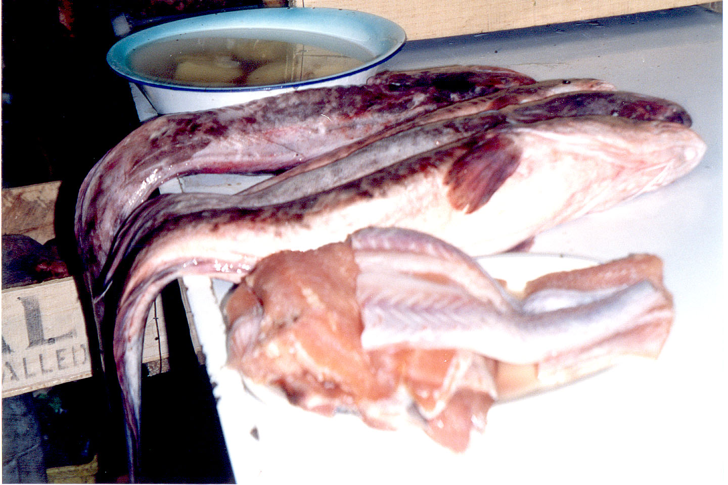 247.jpg, Market
Puerto Montt