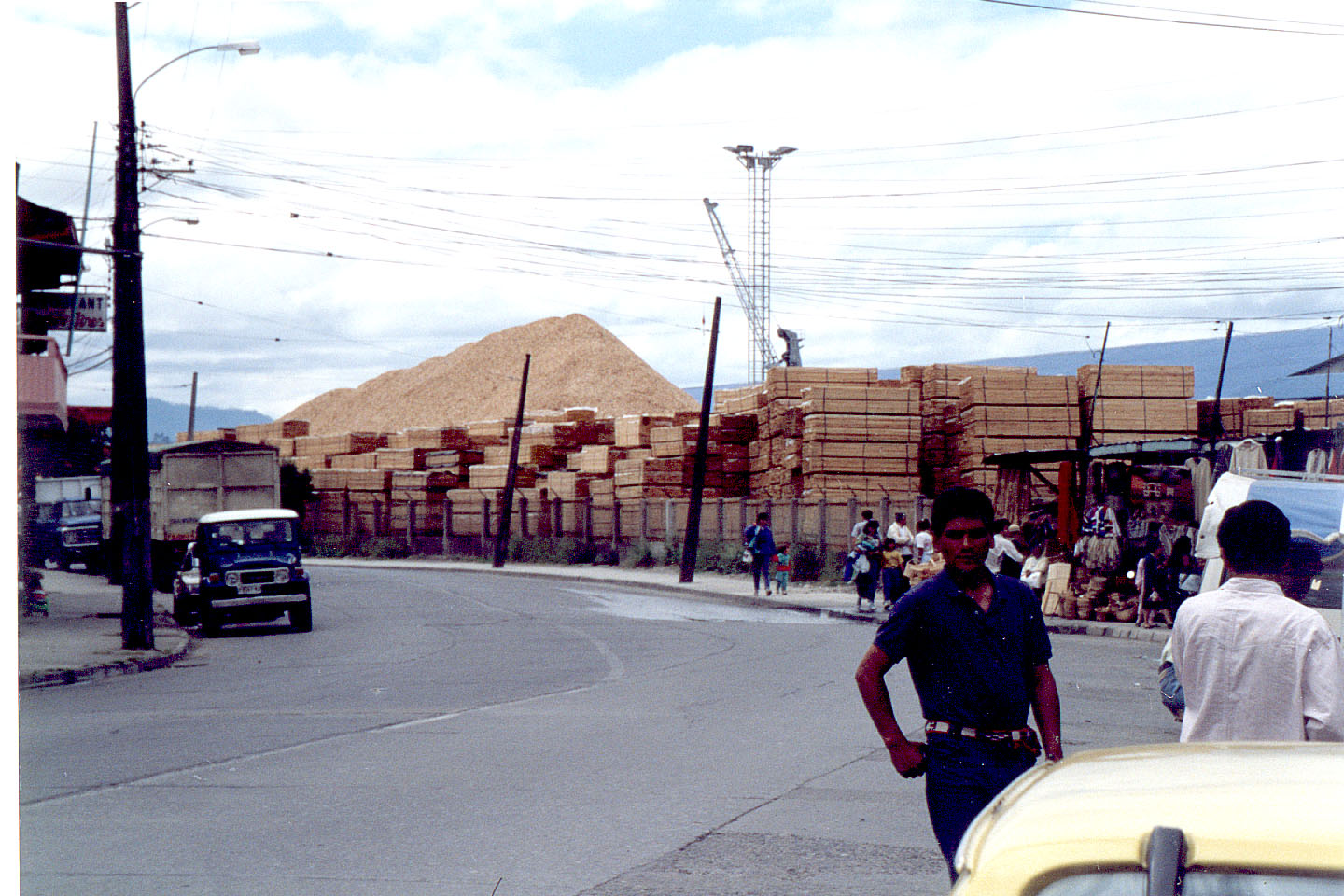 256.jpg, Wood chips
for Japan