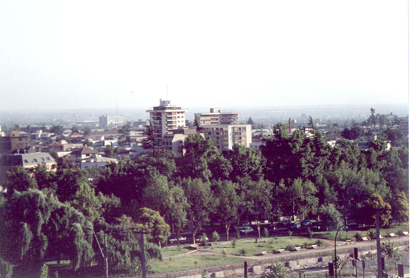 262.jpg