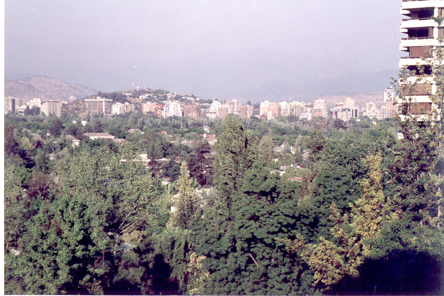 263.jpg