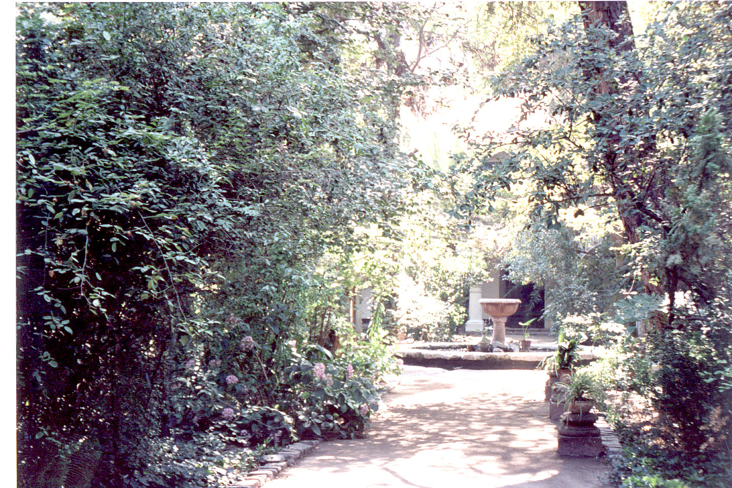 264.jpg, Cathedral grounds
Santiago