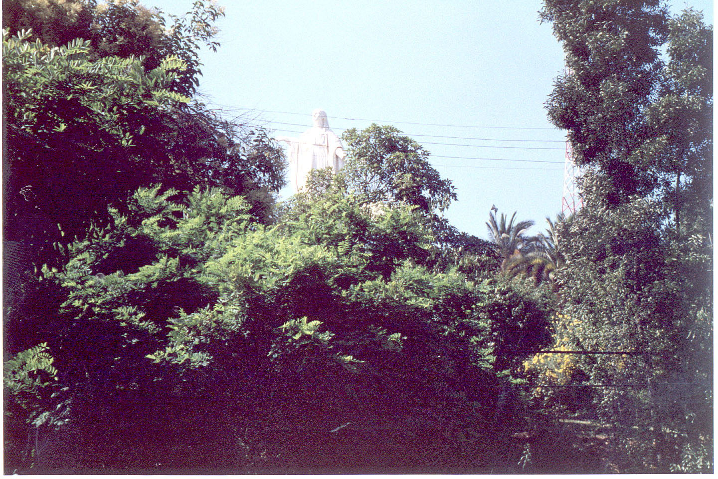 275.jpg