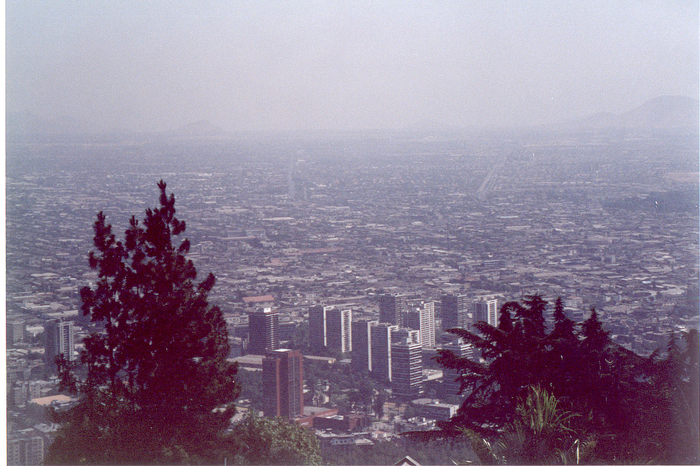 276.jpg