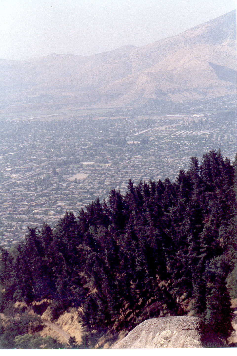 278.jpg