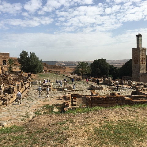 IMG_3914 Chellah, Roman ruins