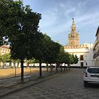 Seville