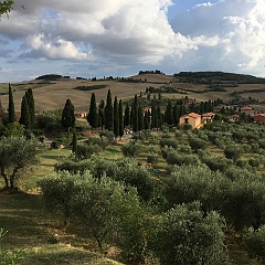 IMG_5717 View from Monticchiello